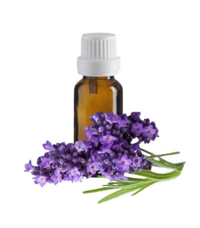 eo lavender 1 e1633551696306